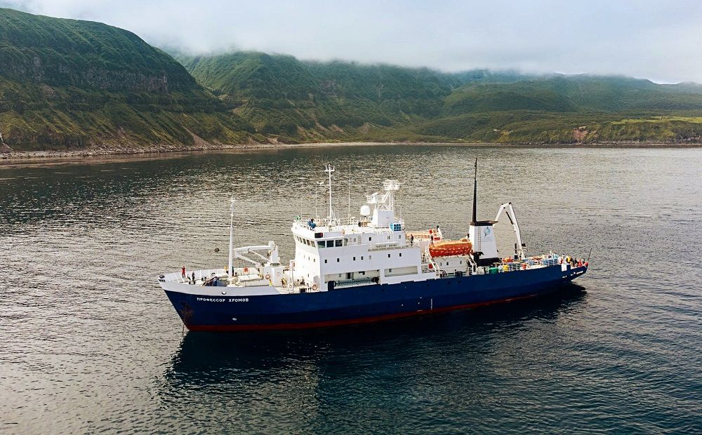 Основное изображение 1